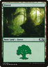 279-forest.jpg