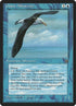 27b-giantalbatross.jpg