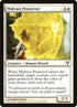 28-midvastprotector.jpg