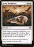 28-scourthedesert.jpg