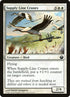 28-supplylinecranes.jpg