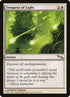 28-tempestoflight.jpg