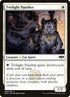 28-twilightpanther.jpg