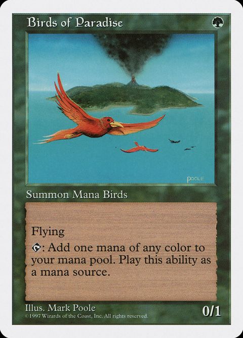 280-birdsofparadise.jpg
