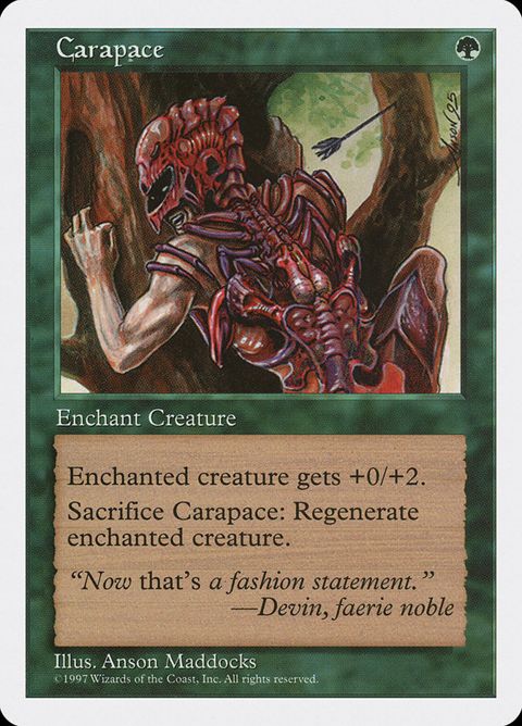 281-carapace.jpg