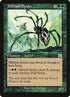 281-silklashspider.jpg