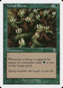281-vernalbloom.jpg