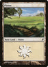 282-plains.jpg