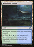 282-woodlandstream.jpg