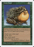 283-chubtoad.jpg