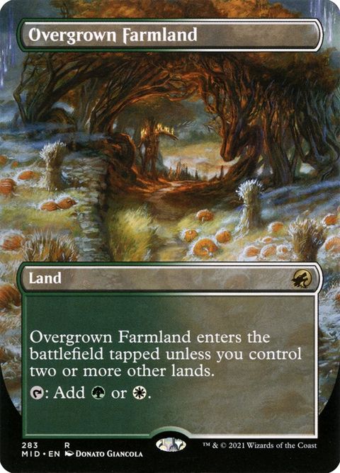 283-overgrownfarmland.jpg