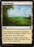 283-vividmeadow.jpg
