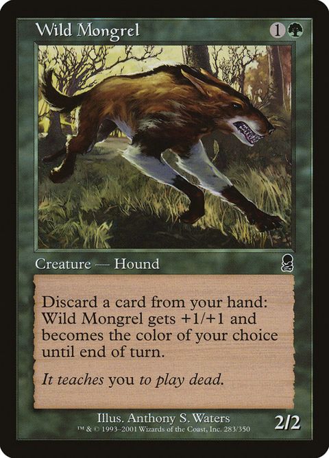 283-wildmongrel.jpg