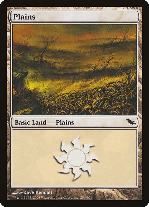 284-plains.jpg