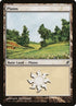 284-plains.jpg