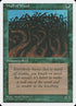 284-wallofwood.jpg
