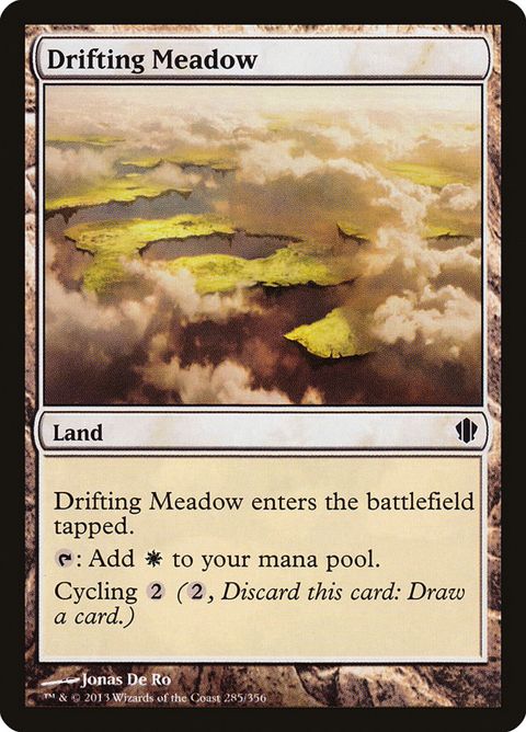 285-driftingmeadow.jpg