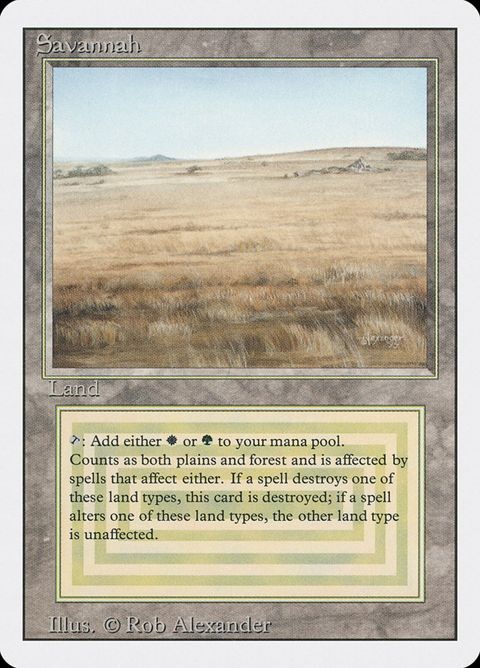 285-savannah.jpg