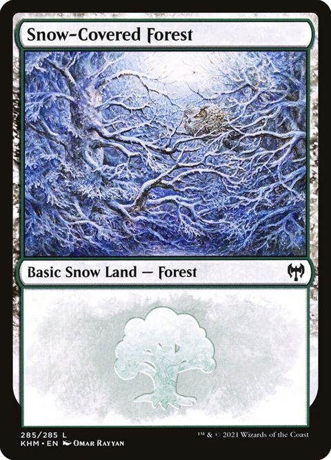 285-snowcoveredforest.jpg