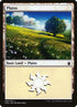 286-plains.jpg