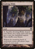 287-evolvingwilds.jpg