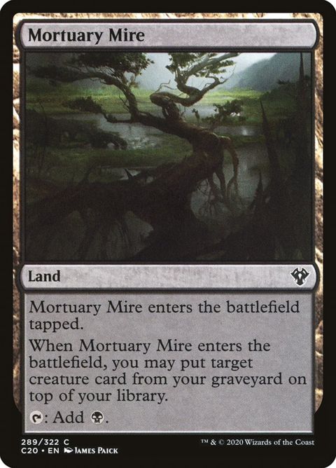 289-mortuarymire.jpg
