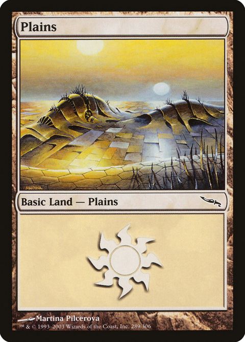 289-plains.jpg