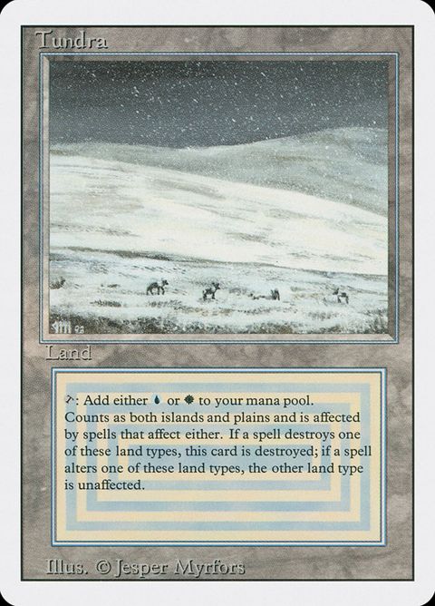 289-tundra.jpg