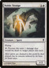 29-noblevestige.jpg