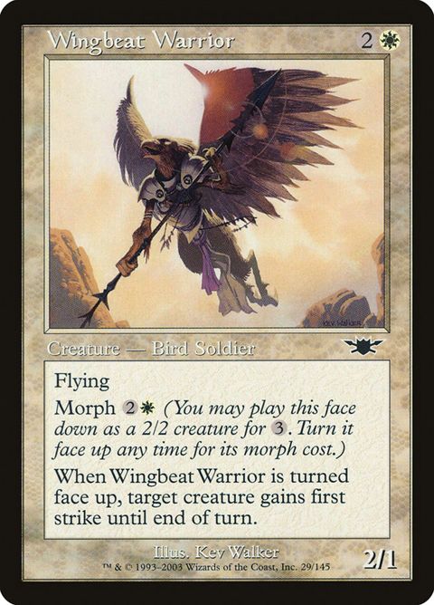 29-wingbeatwarrior.jpg