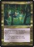 290-floodedwoodlands.jpg