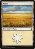 290-plains.jpg