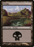 290-swamp.jpg