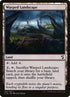 291-warpedlandscape.jpg