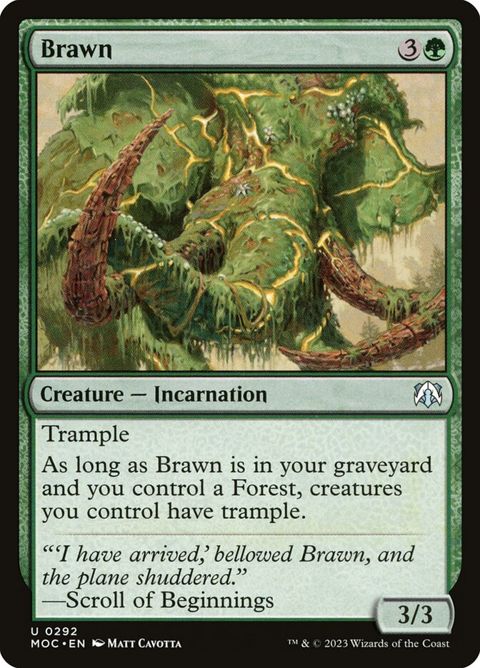 292-brawn.jpg