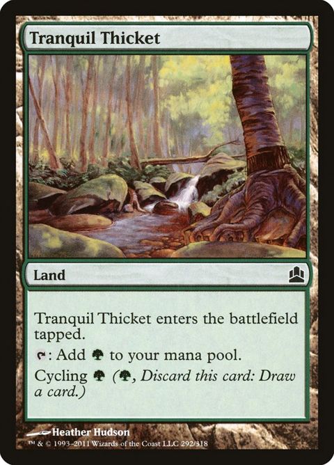 292-tranquilthicket.jpg