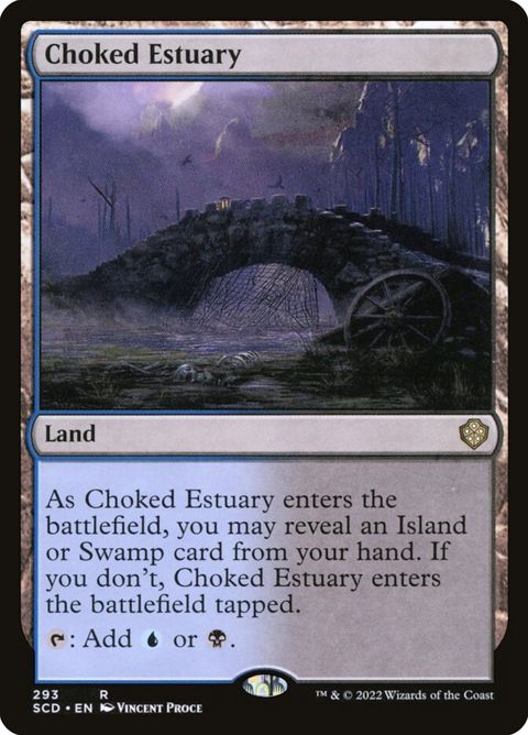 293-chokedestuary.jpg