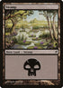 293-swamp.jpg