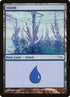 294-island.jpg