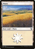 294-plains.jpg