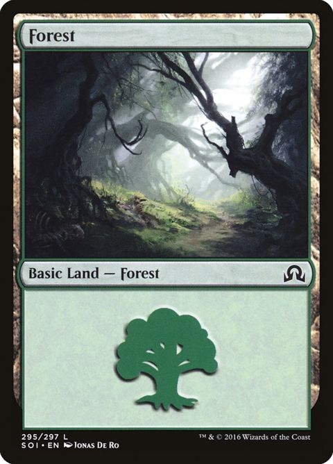 295-forest.jpg