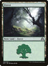 295-forest.jpg