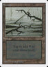 296-swamp.jpg