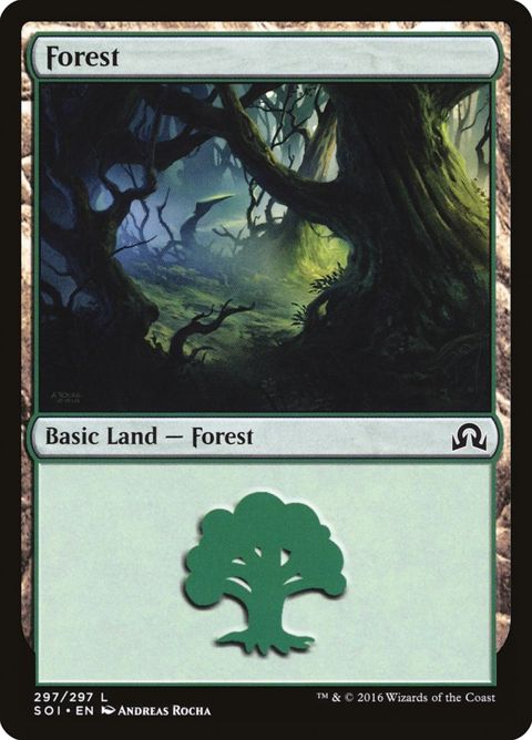 297-forest.jpg