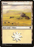297-plains.jpg