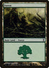 298-forest.jpg