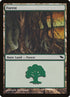 298-forest.jpg