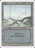 298-swamp.jpg