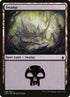 298-swamp.jpg