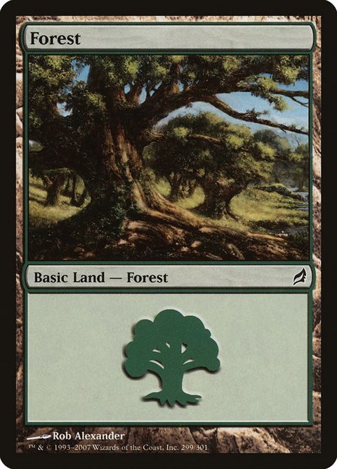 299-forest.jpg